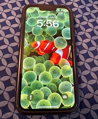 Apple iPhone 13 128GB Black iOS 12MP
