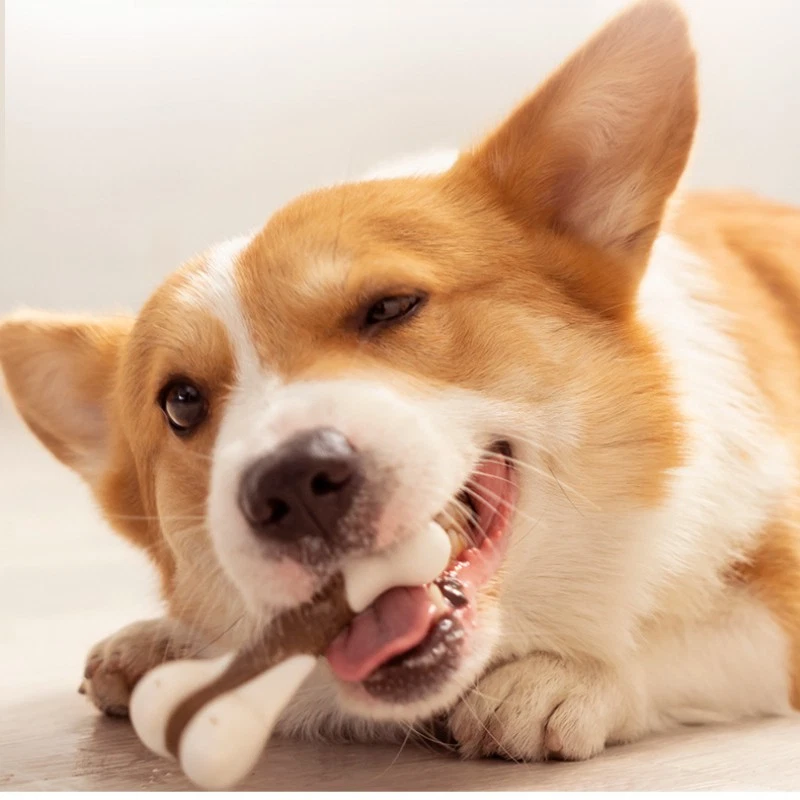 Pet Dog High Quality Bone Chew Toy Aggressive Grinding Teeth Fragrant Taste Gift - Image 3 of 4