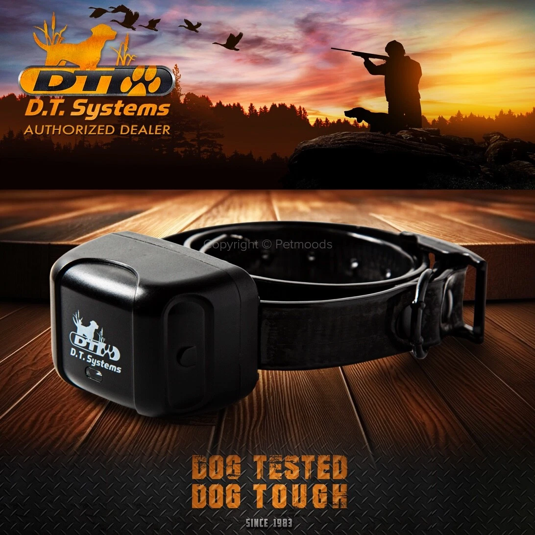 Dt systems cheap mr1100