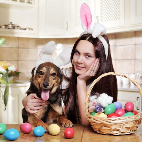 6pc Plush Bunny Ears Headband - Multi-Color Easter Party Favors for Kids & Adult - Picture 6 of 8