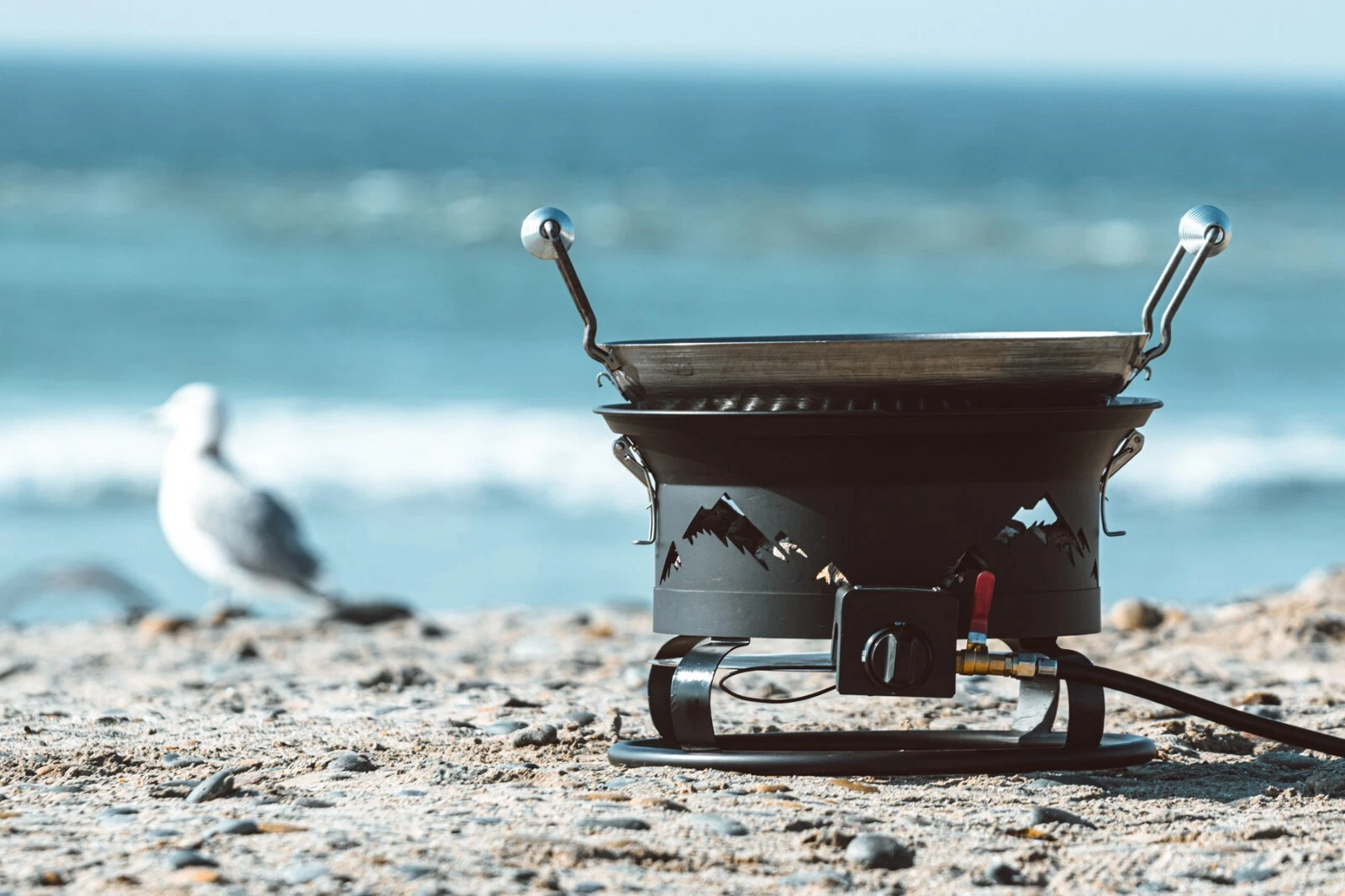 Portable BBQ | Pizza Oven