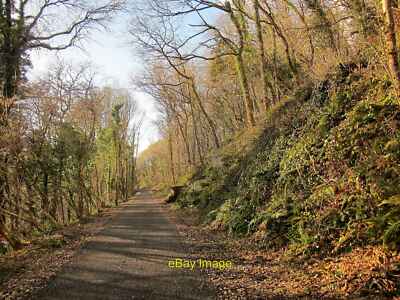 Photo 12x8 Wray Valley Trail Brimley Looking in the opposite direction fro c2015