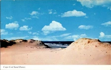 Cape Cod Massachusetts MA : NATURE SCENE d/13 AW9595