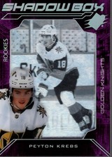 2020-21 SPx Shadow Box #SB14 Peyton Krebs - HKY