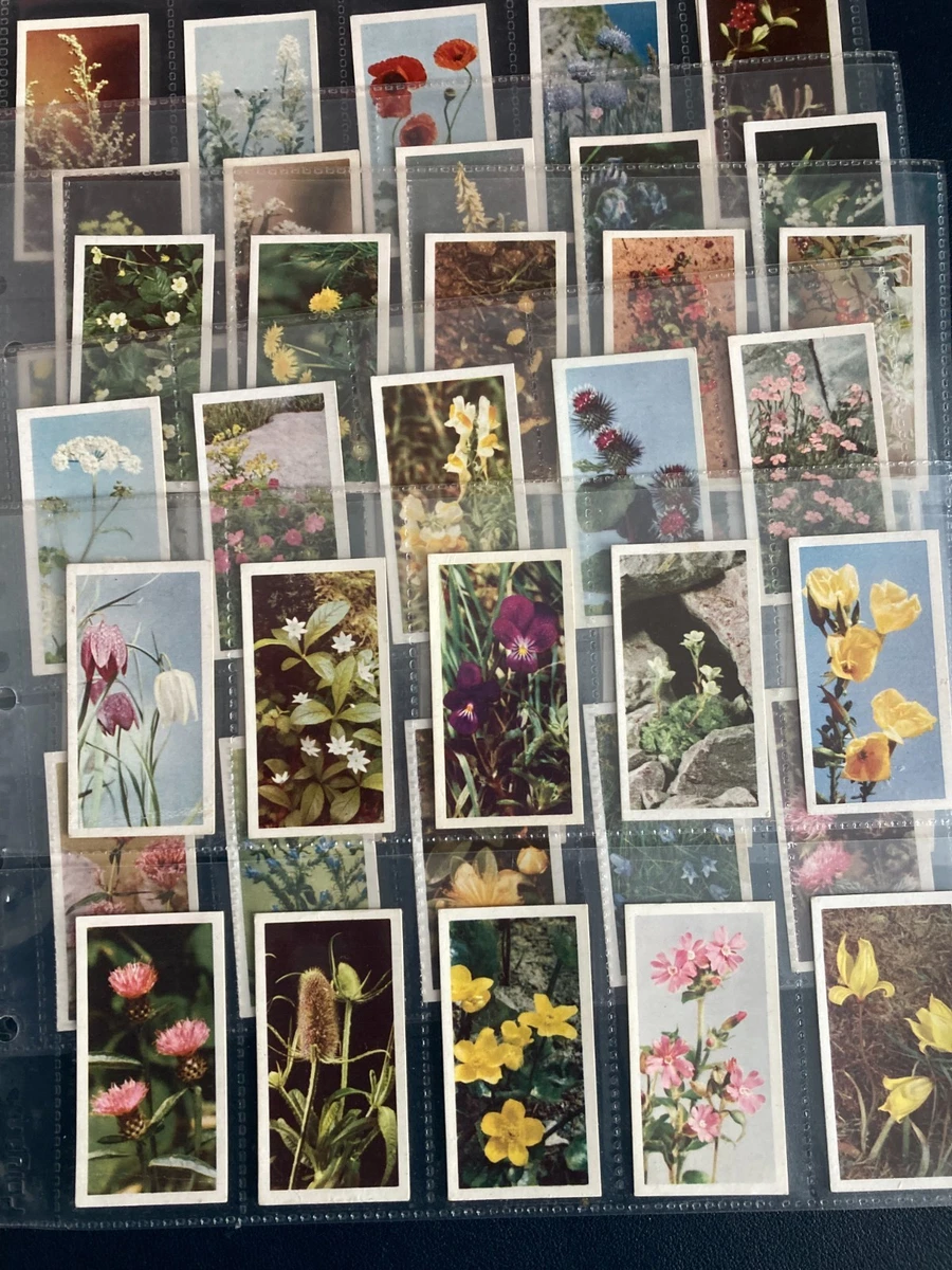 Collectable Brooke Bond & PG Tips Tea Cards for sale | eBay UK