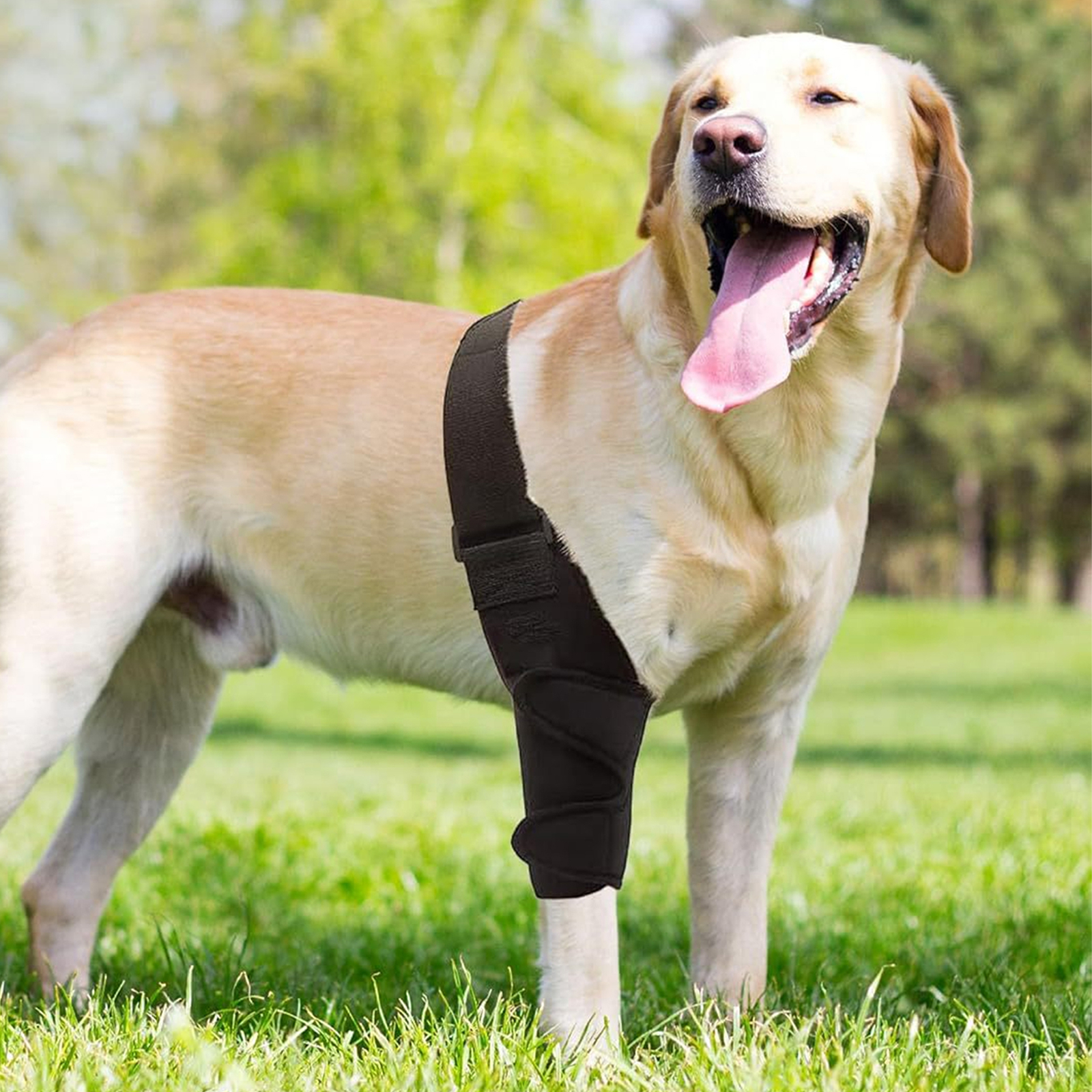 Dog Leg Injury Rehabilitation Brace for Arthritis Adjustable Acl