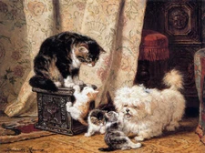 Art Oil painting Henriette Ronner Knip best of friends sun dog cat kitten