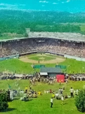 Little League Baseball Howard J. Lamade Field Williamsport Pennsylvania Postcard