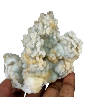 Superb Chalcedony Corals Rocks, Crystals And Mineral Specimens From India