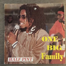 Half Pint  / One Big Family / Vinyl LP / Reggae / Dub / Jamaica / NEAR MINT 