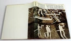 The Vikings O. Madsen 1976 Illustrated Historical Hardcover Minerva HB in DJ 1st