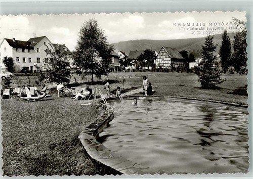 10702848 - 6344 Mandeln Schwimmbad Pension Dillmann Lahn-Dill-Kreis LKR