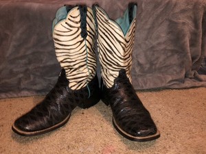 ariat zebra boots