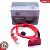 Esen SKV Batterieadapter 96SKV314 FüR BMW 5Er G30 F90 Touring G31 7Er G11 G12