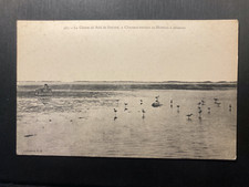 CPA; La Chasse en Baie de Somme; Chasseur entrant au Hutteau à cerceaux; TBE