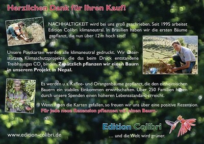 Edition Colibri Hochzeitskarte - Lustige Enten-Brautpaar Karte Mit Umschlag, Made In Germany