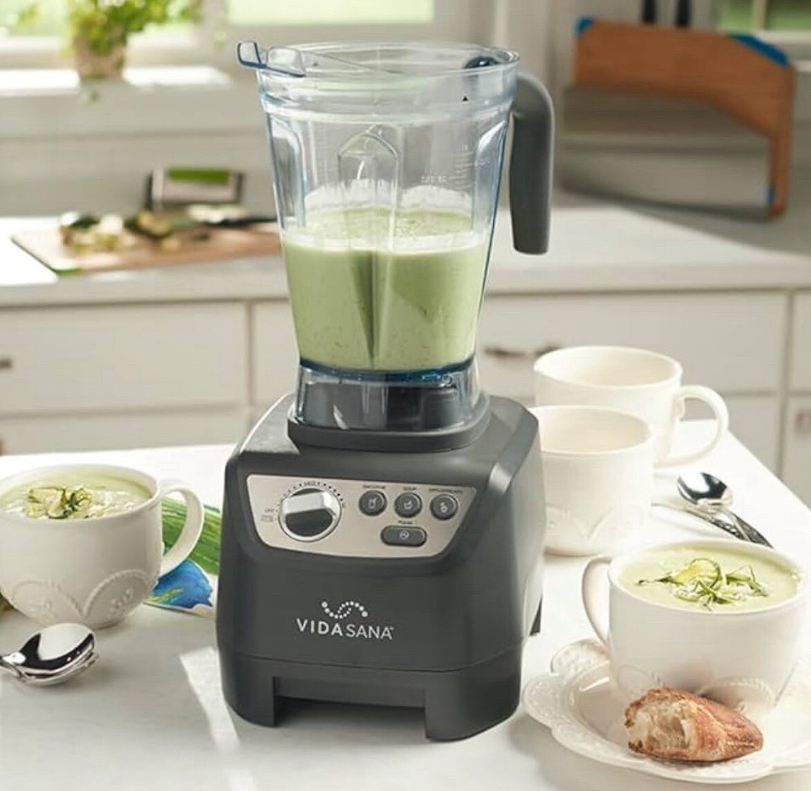 Licuadora Profesional De Doble Cuchilla De Princess House