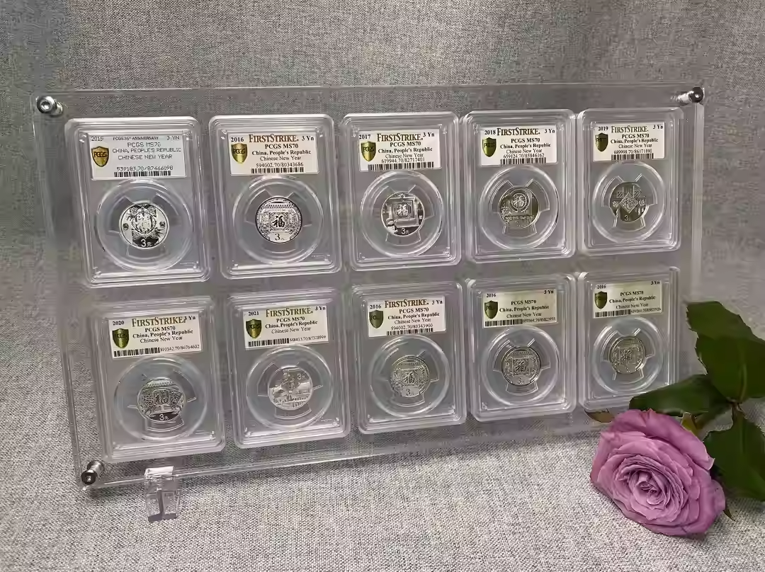 10-Slot Acrylic Display Case for NGC PCGS Slab Coin Holders