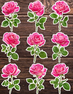 Pink Rose Die Cut Vinyl Stickers Set Scrapbooking Laptop Water Bottle ...