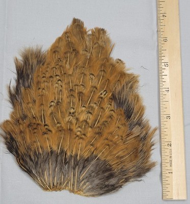 Lot 308, Natural Hen Back Saddle Soft Hackle Feathers for Fly Tying