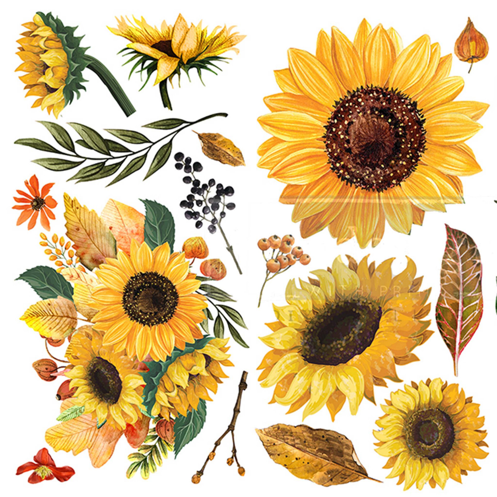 Rub On Furniture Transfers SUNFLOWER AFTERNOON Furniture Decals Transfer Flowers 655350653491 eBay