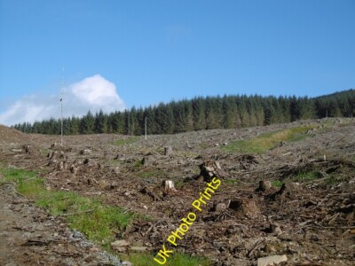 Photo 6x4 Fingland Fell Gateside/NY1194 A recently felled conifer block. c2015