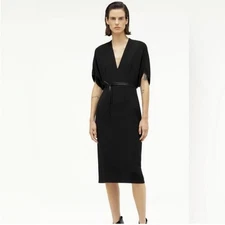 Zara X Narciso Rodriguez Collection Dress Size US Medium