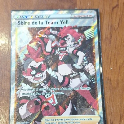 Pokémon JCC Sbire de la Team Yell 202/202 Supporter Full Art Holo FR - Photo 1/4