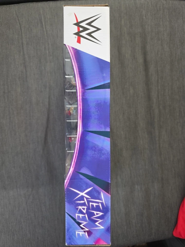 WWE Mattel Elite Collection Team Xtreme Jeff Matt Hardy Boyz Hardyz 2-Pack - Image 4 of 4