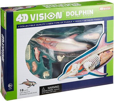 3D Puzzle 4D VISION Animal Anatomy No.07 Dolphin Anatomy Model | eBay