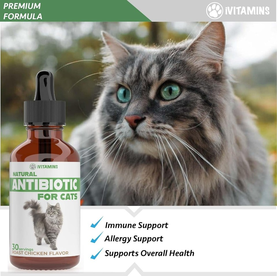 Natural Alternative Cat Antibiotic Cat Antibiotics Antibiotics for