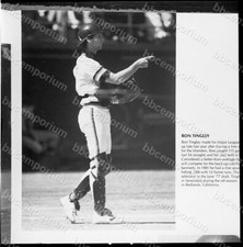 Negativo de marco mediano Ron Tingley - Archivo Jim Rowe I474