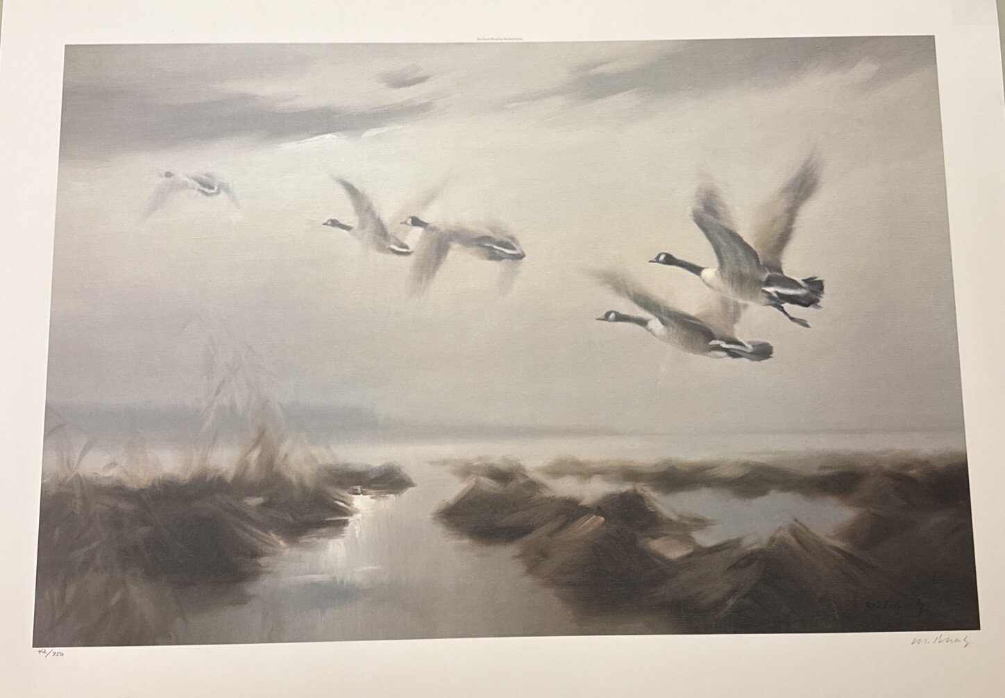 Picture 2 of 5