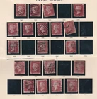 1d Red Plate Range-4 Scans