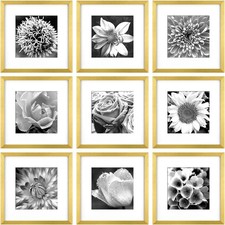 Gold 12x12 Picture Frames Set of 9, Square Frame Displays 8x8 with Mat or 12x...