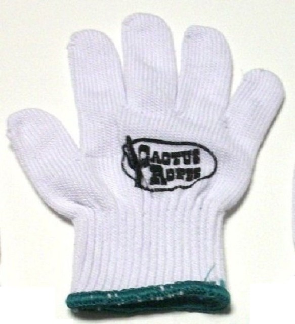 Cactus Kid Roping Glove 3 Pack by Cactus Ropes Official Rope Of The