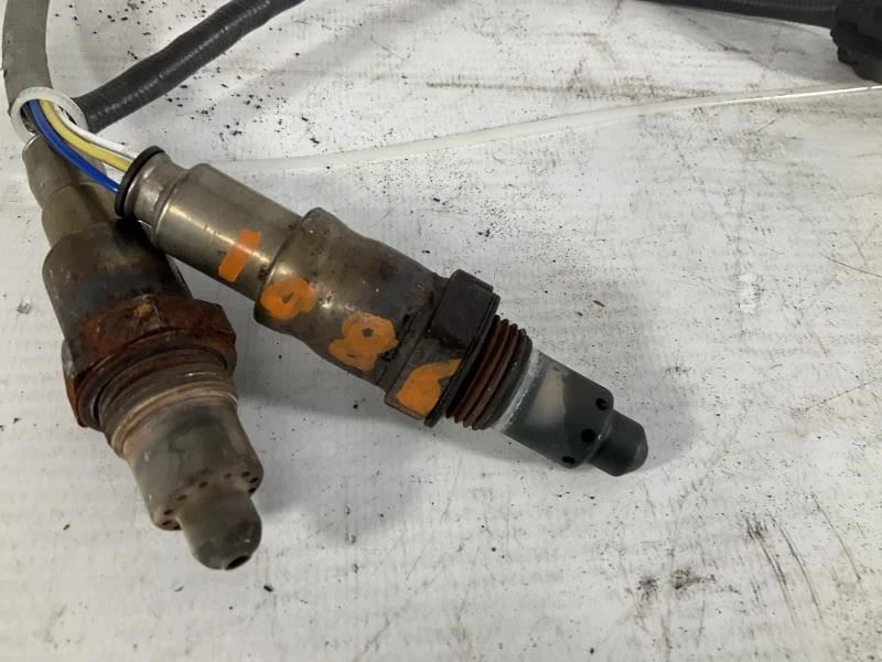 Ford Transit Connect 19-23 2,0 L sistema de escape lambda oxígeno O2 sensor par Q Foto 3 de 4