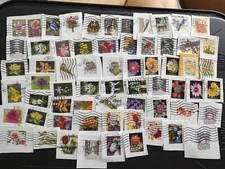 150 Usa Used Nature Flowers 🌹💐 Forever Stamps on Paper Cancels And Stamps Vary