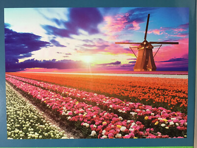 Galison Ephemeral Tulips Puzzle – 1000 Teile Mit Tulpen-Fotografie Von Christine Chitnis | Frühlingshafte Motivpuzzle Zum Entspannen