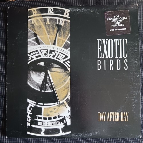 Exotic Birds – Day After Day (Alpha International Records – SPRO-79264/79265)
