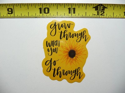 GROW THROUGH WHAT YOU GO POSITIVE SMALL STICKER DECAL MOTIVATIONAL MOTIVATE