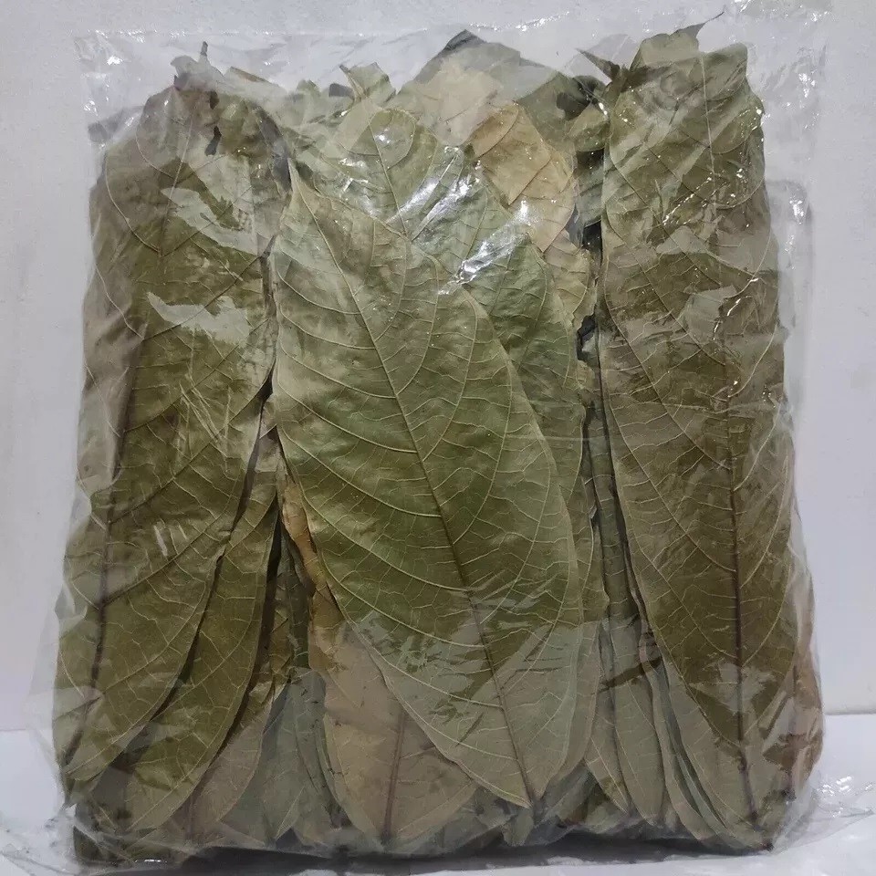 Ceylon cocoa leaves – 25-200 organic, 100% pure dried fresh high-quality leaves