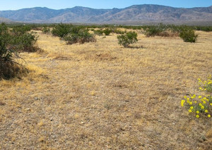 Kern CA Huge Lot--PICTURES TAKEN AT THE LAND IN JUNE 2026-BID FOR DOWNPAYMENT