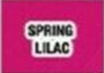 Avon True Color Nourishing Lipstick *Spring Lilac* Discontinued