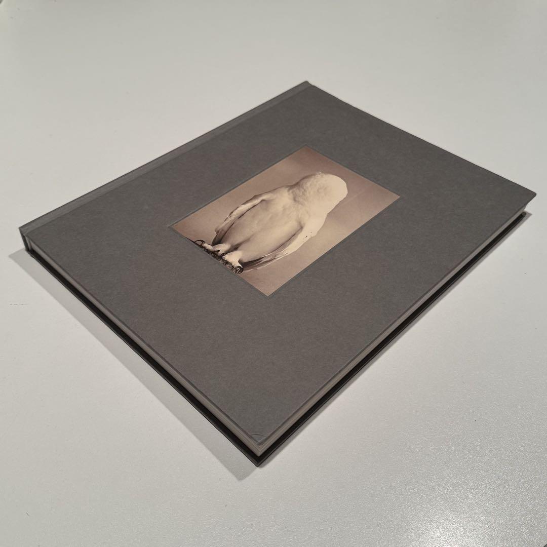 アート・デザイン・音楽 Masao Yamamoto Tori signed Masao