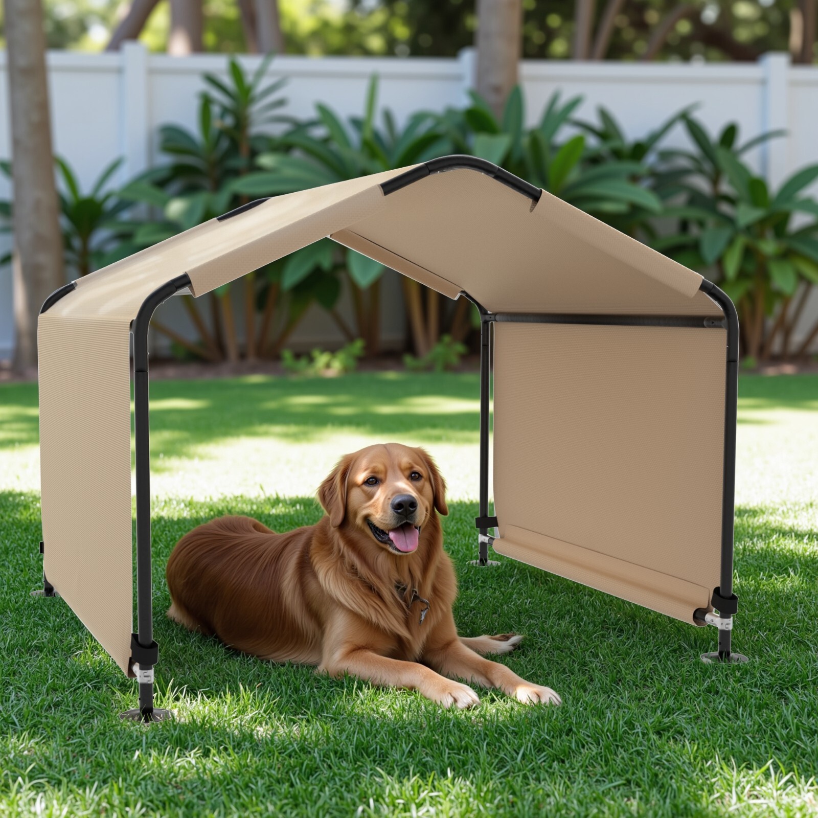 For Large Medium Dogs
