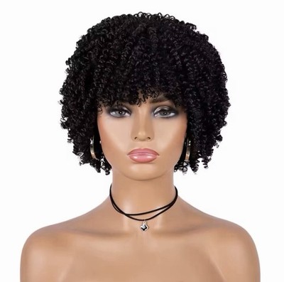 Women Curly Hair Wig Black Afro Style Natural Texture Hairpiece