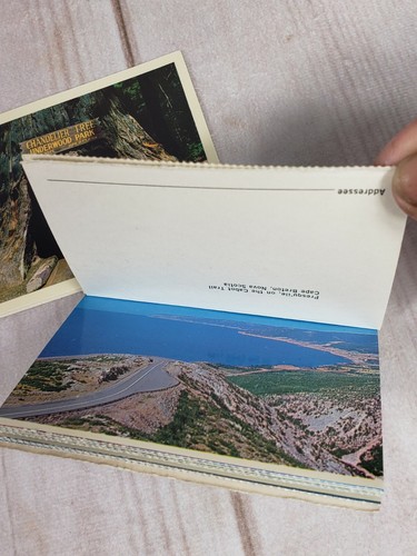 Lot 3 Vintage Souvenir Mini Book Florida California Redwood Miniature Postcards - Picture 4 of 5