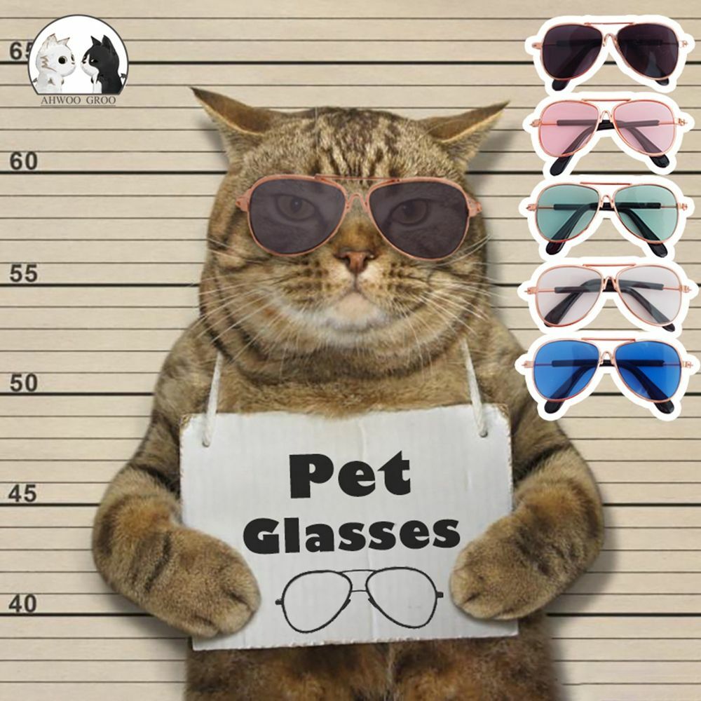 Occhiali da sole per cani antiriflesso occhiali da volo piccoli gatti cane animali domestici accessori foto 3