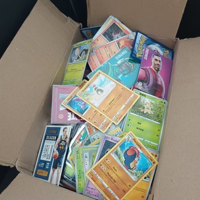 XXL Bulk Box